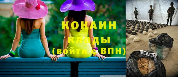 хмурый Алексин