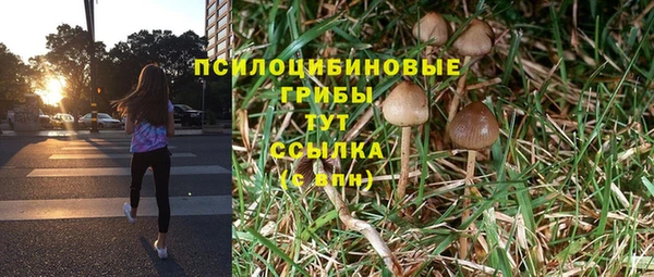 MDMA Premium VHQ Переславль-Залесский