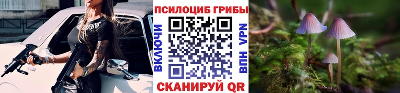 Псилоцибиновые грибы Cubensis  Мирный 
