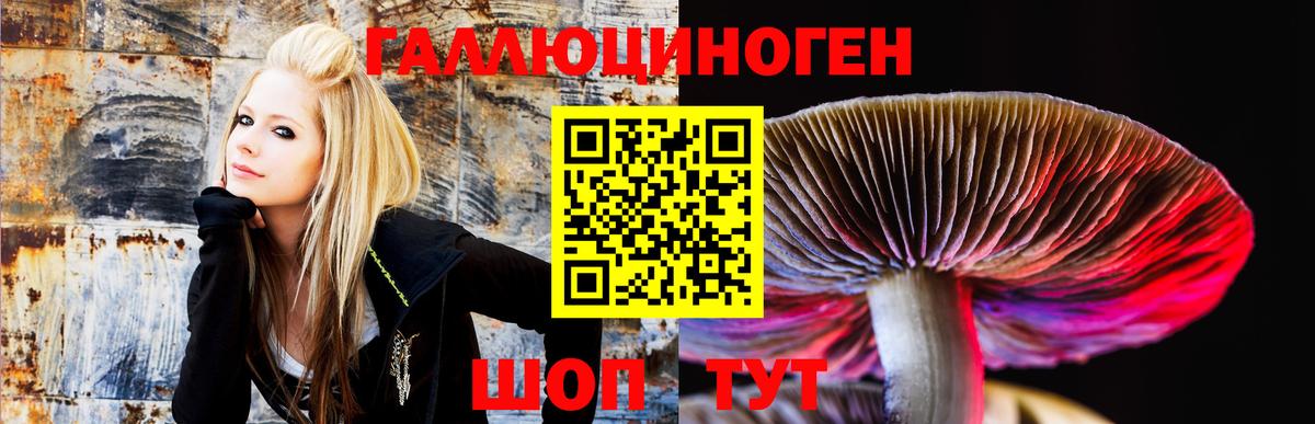 Мирный  Галлюциногенные грибы мицелий  где купить наркоту  Вход с VPN  Галлюциногенные грибы ЛСД 